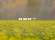 讯盈篮球即时比分