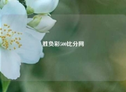 胜负彩500比分网