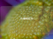 fifa即时比分