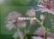 球探篮球比分网