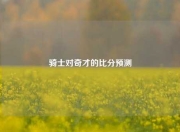骑士对奇才的比分预测