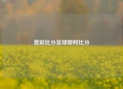 竞彩比分足球即时比分