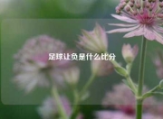 足球让负是什么比分