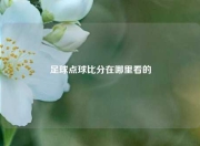 足球点球比分在哪里看的