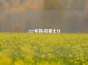 2025年韩k联赛比分