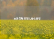 王者荣耀世冠比分在哪看