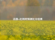 法国vs比利时预测比分结果