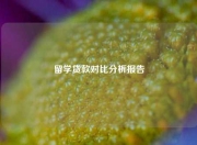 留学贷款对比分析报告