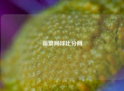 新浪网球比分网