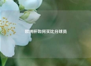 欧洲杯如何买比分球员