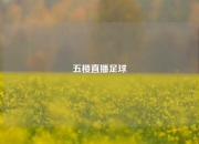五楼直播足球