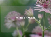 欧冠直播足球直播