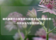 明升棋牌平台探索明升棋牌平台的神秘世界——寻找快乐与智慧的桥梁