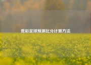 竞彩足球预测比分计算方法