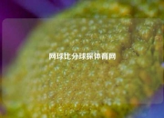 网球比分球探体育网