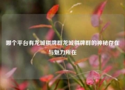 哪个平台有龙城棋牌群龙城棋牌群的神秘存在与魅力所在