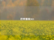 巴甲赛程2021
