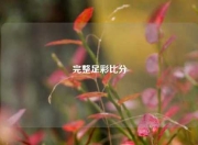 完整足彩比分