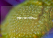 足球比分好用的app