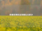 昨晚世界杯足球赛比分多少