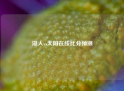 湖人vs太阳在线比分预测