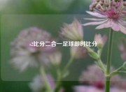 s2比分二合一足球即时比分