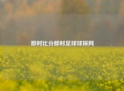 即时比分即时足球球探网