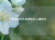 八波手机比分,足球比分,wap版比分