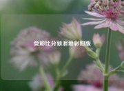竞彩比分新浪爱彩旧版