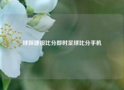 球探捷报比分即时足球比分手机