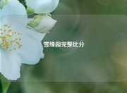 雪缘园完整比分