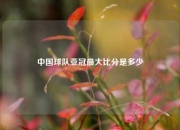 中国球队亚冠最大比分是多少