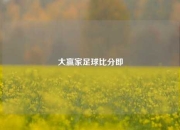 大赢家足球比分即