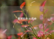 篮球比分 nba比分