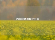 西甲联赛赛程比分表