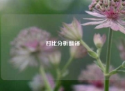 对比分析翻译