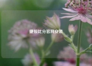 捷报比分官网安装