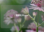 捷报比分app4.0