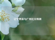 辽宁男篮与广州比分预测
