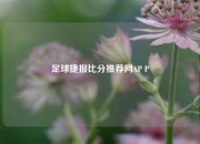 足球捷报比分推荐网AP P