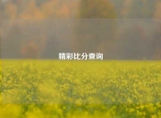 精彩比分查询