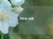 乌拉圭vs法国