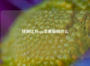 球探比分app苹果版叫什么