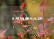 足球竞彩即时比分500彩票网