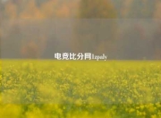 电竞比分网1zpaly