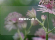 美国篮球nba比分