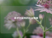 奇才对篮网的比分预测