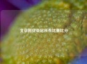 北京国安亚冠所有比赛比分