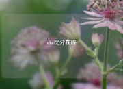 nba比分在线