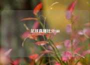 足球直播比分188